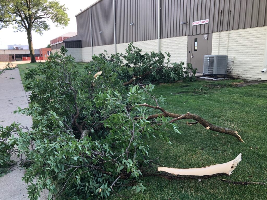 Free Tree Dump through July 14 Following Weekend Storms Sandhills Express