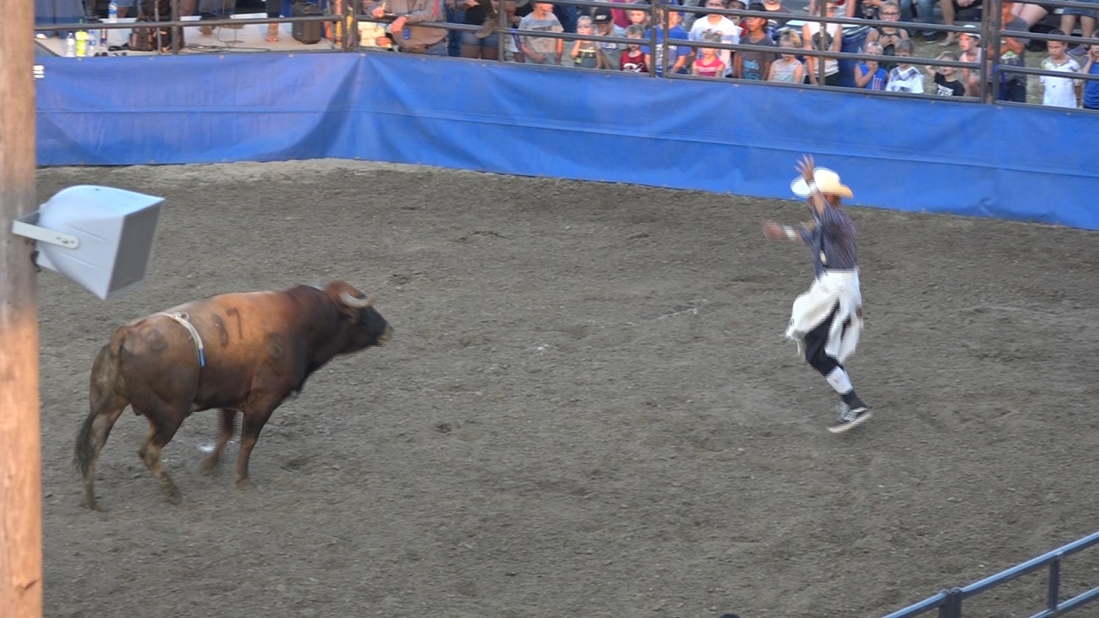 Wayne County Fair Opens With Bull Riding, Bullfighting WDN Wayne