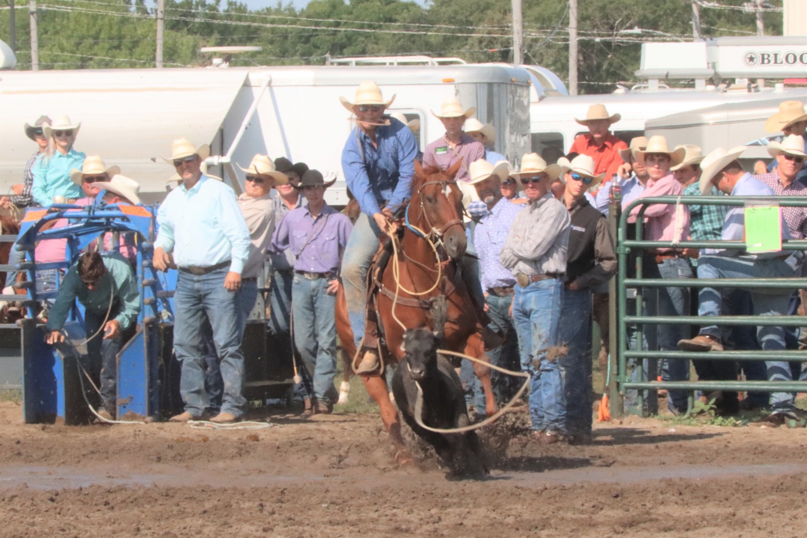 Area Cowboys and Cowgirls Give Strong Performances at Nebraska HS