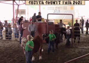 Ag Society Reviews County Fair, Sets Date for 2022