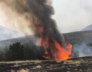 Custer County Volunteer Firefighters Return Home from Hackberry Fire