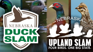 Dove Season, Duck And Upland Slams Begin Sept. 1