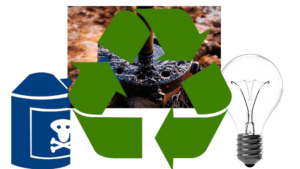 Recycling Responsibly: Sorting Out the Fourth of July