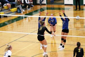 High School Volleyball Scores 10/14