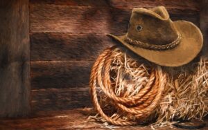 16th Annual Comstock Cowboy Poet Gathering