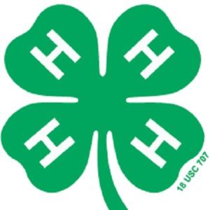 4-H Public Fashion Show Scheduled for July 21