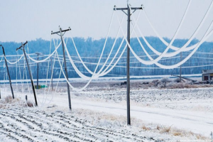 Winter Weather Will Bring Dangers Of Downed Powerlines