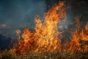 Fuels and Fire Behavior Advisory For Central Kansas And Nebraska