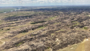 Nebraska National Forest fire near Halsey now 80% contained, incident downgraded
