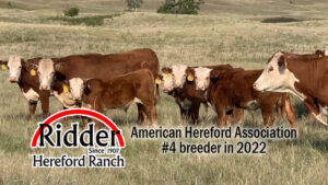 Callaway Ranch Makes National top 20 list