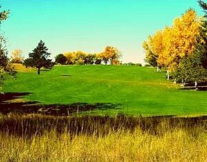 Colbi Smith of South Loup and Cole Kramer of Sandhills Valley Medal at State Golf