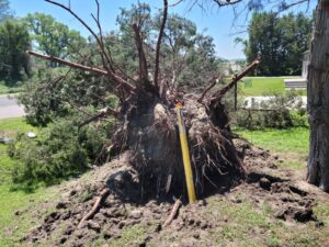 Wind Gusts of More Than 90 MPH Sweep Through Custer County