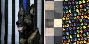 Dog Gone Fun 4H Club Quilt Raffle to Benefit BBPD K9 Unit