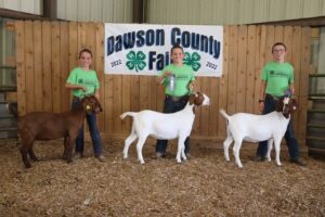 Eddyville 4-Hers the 