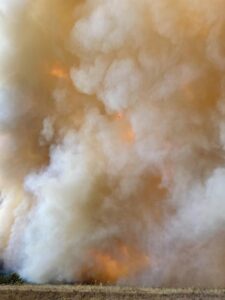 Bovee Fire Update: October 4, 4 P.M.