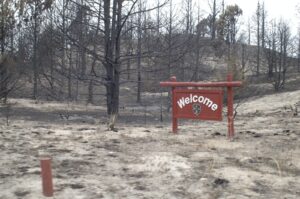 Nebraska 4-H Foundation Commits $2 Million to Proposed Halsey Forest Sandhills Discovery Center