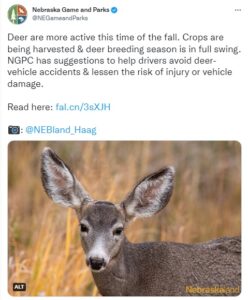 Sheriff Osmond Shares Safe Driving Tips for Deer, Harvest, & Halloween