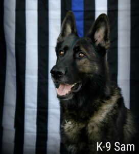 Broken Bow Police again nominate K9 Sam for Aftermath grant, need community votes