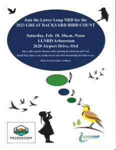 Great Backyard Bird Count Returning to Ord