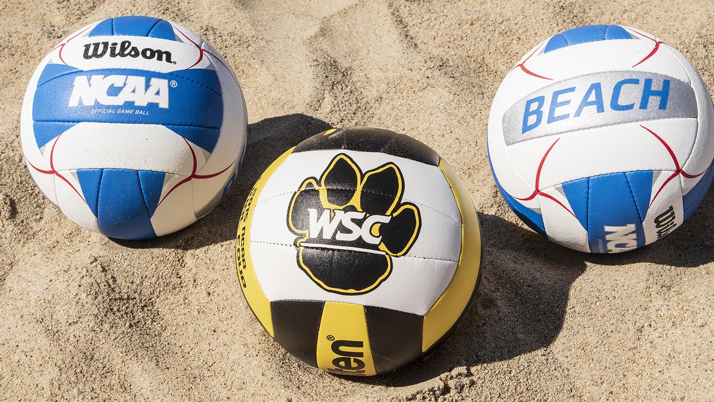 FirstEver Wayne State Beach Volleyball Home Match Set For Tuesday