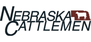 Nebraska Cattlemen Consumer Education and Promotion Committee announces 2023 Beef Ambassador Competition and Advocacy Training