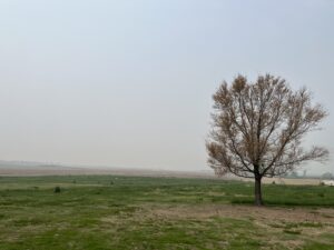 DHHS issues statewide smoke advisory through Friday midday