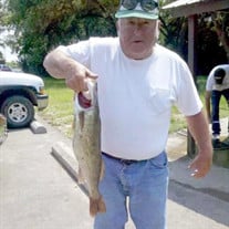 Funeral Services for Don Royle, age 82