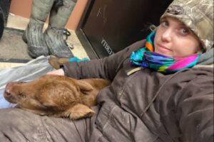 Oconto veteran Makayla Smith and Rolling S Ranch awarded $1000 grant from Tractor Supply Company