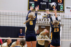 High School Volleyball Scores 8/24
