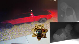 Sheriff's Office seeking public's help in identifying subjects in burglaries