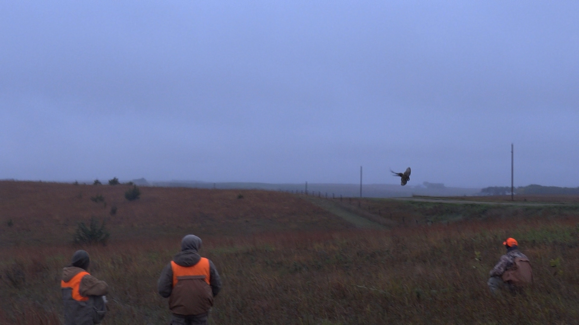 Youth Mentor Hunt Provides Outdoor Live Hunt WDN Wayne Daily News