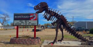Unlocking the Past: The Boneyard Creation Museum is hosting a soft opening