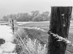 Why Does the Frost Look Like That  - Nebraskans Captivated by Ice Wonderland