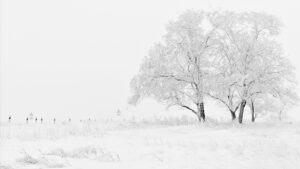 Arctic Blast Incoming: Tips to save on your electric bill