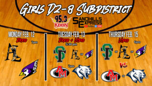 Girls Sub District Basketball - Area Recap and Preview