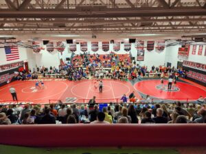 Girls District Wrestling - Area Results