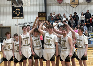 Ansley/Litchfield and SEM Advance to Boys State Basketball Tournament