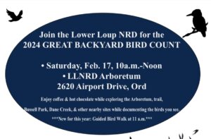 Great Backyard Birdcounts Returns to Ord