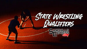 D1 and D2 District Wrestling Area Recap