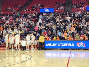 Ansley/Litchfield Falls to Plainview at State Tournament