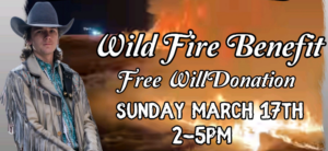 Music for a cause: BJ Jamison to play wildfire benefit show