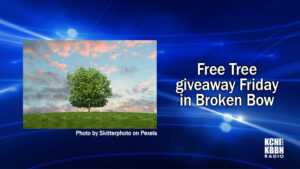 Simple Living Group free tree giveaway is Friday in Broken Bow