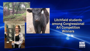 Litchfield artists among Third District competition winners