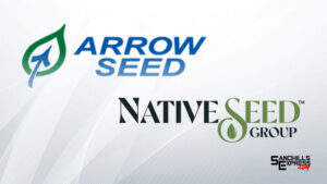 Arrow Seed Confirmed as Closing – Details Still to Come