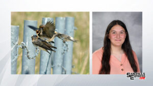 Arcadia's Hornickel achieves national gold medal for photography