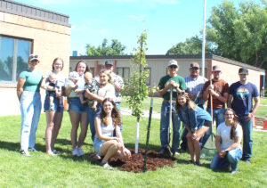 Five-Year Reunion Includes Tree Planting