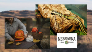 Full slate of Halloween, reptile fun ahead for October at Nebraska parks