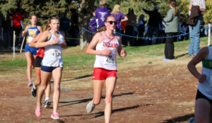 State Cross Country Area Recap