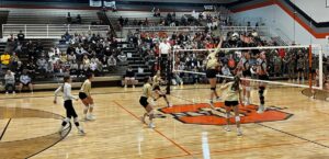 District Finals Volleyball - Area Recap