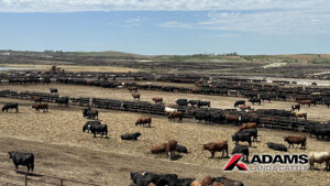 Adams Land & Cattle announces $200M anaerobic digestion, roller compacted concrete project